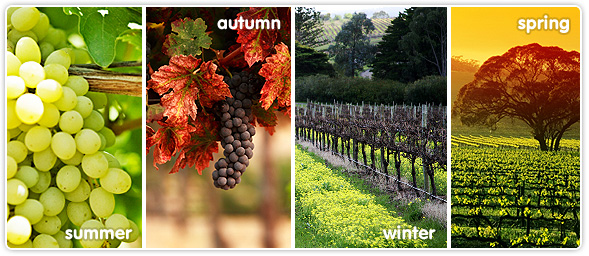 Riverland Seasons